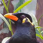 Tomcat.schemer - Flickr Profile Picture of Tomcat.schemer (@tomcat.schemer) on Flickr