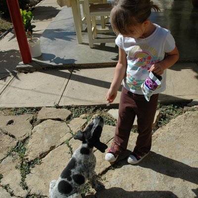 Profile Picture of Berta Blanco (@BertaBertica) on Twitter