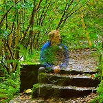 Profile Picture of Richard O'brien (@richjobrien) on Flickr