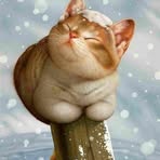 Profile Picture of Kara Hawkins (@Kara-Hawkins) on Facebook