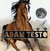 Profile Picture of Adam Testo (@adam.testo.52) on Facebook