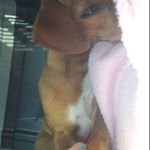 sara rendeiro - Instagram Profile Picture of sara rendeiro (@rendeirosara) on Instagram