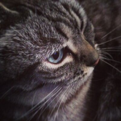 Emma Poynter - Twitter Profile Picture of Emma Poynter (@aekw1821) on Twitter