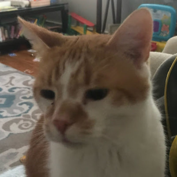 Profile Picture of Green Gader (@yourmomoclock) on Poshmark