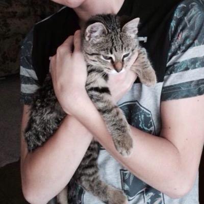 Profile Picture of Chimpin O'flyng (@ChimpinOflyng) on Twitter