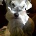 Profile Picture of Roscoe Shell (@roscoe.shell.5) on Facebook