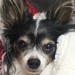 Profile Picture of Brayden Berning (@imnotdgpf) on Instagram