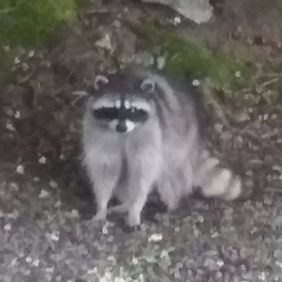 Profile Picture of Greg Grady (@G_Squared39) on Twitter