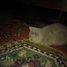 Profile Picture of Bogdan Sas (@bogdan.sas.334) on Facebook