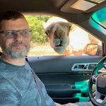 Profile Picture of Dave Englert (@dave.englert.9) on Instagram