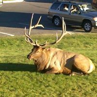 Profile Picture of Jason Cherry (@jason-cherry-18) on Quora