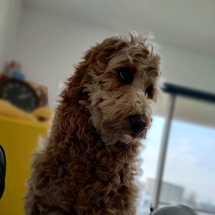 Profile Picture of mark kuni (@markkuni7) on Tiktok