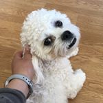 Profile Picture of Tatum (Tate) J Roy Dokter (@tatumjroy_dokter) on Instagram