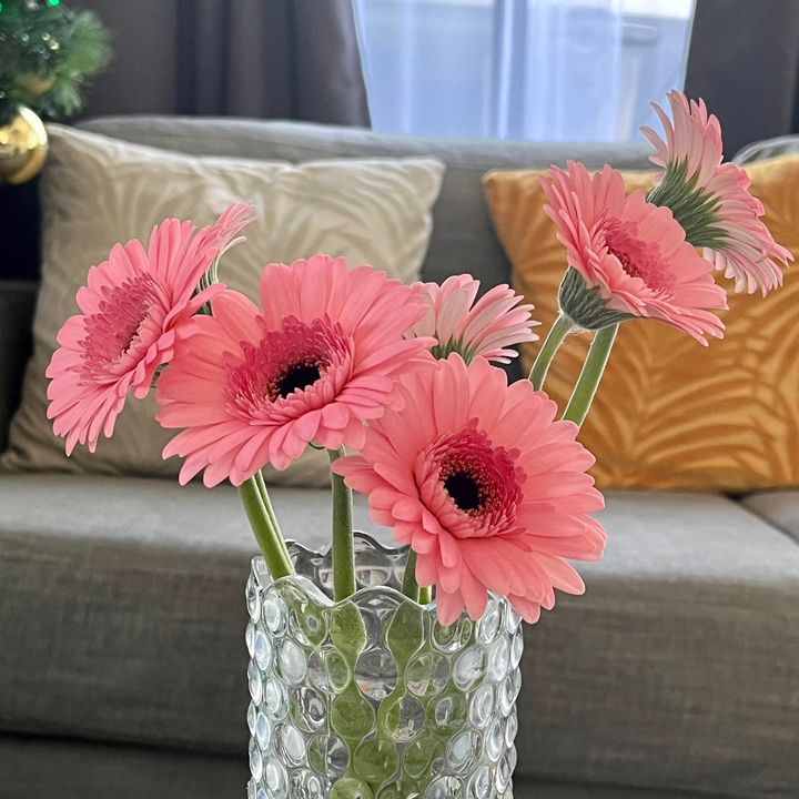 Profile Picture of ladawn (@ladawn) on Tiktok