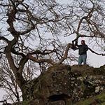 Matthew Frisch - Instagram Profile Picture of Matthew Frisch (@born.of.sin) on Instagram