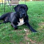 Profile Picture of Randall Turner (@randall_turner) on Instagram