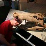 Profile Picture of Daniel Janczak (@daniel_janczak) on Instagram