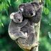 Profile Picture of Jillian Humphries (@jillian.humphries.908) on Facebook