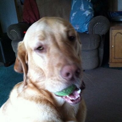 Profile Picture of Tammy Proulx (@sugart63) on Twitter