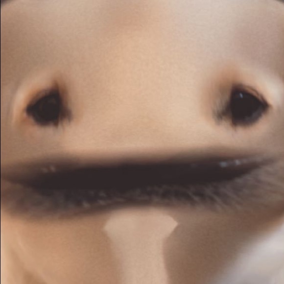 Julian Eder - Poshmark Profile Picture of Julian Eder (@jstonedude4635) on Poshmark