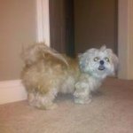 Profile Picture of Pam Randolph (@pamrandolph) on Instagram