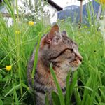 Profile Picture of Max Kapferer (@kapferer.leonie) on Instagram