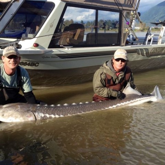 Profile Picture of Cris Blunden (@crisblunden) on Poshmark