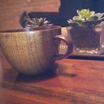 Profile Picture of Nancy Kelly Granger (@nancylgranger) on Instagram