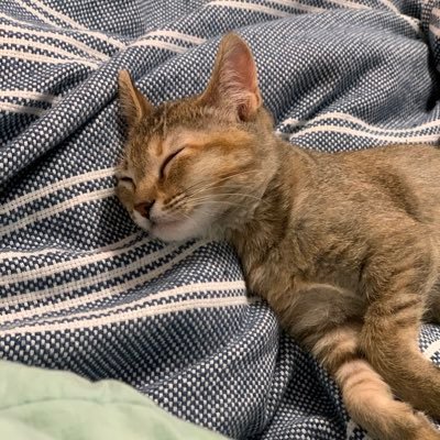 Profile Picture of Holly Griffith (@hollygeee95) on Twitter