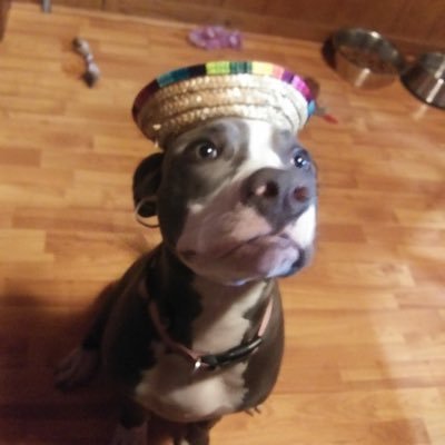 Profile Picture of Barbara Rutledge (@Barbara47803939) on Twitter