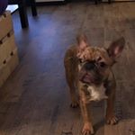 Profile Picture of Jeremy Schmidt (@jeremyschmidt109) on Instagram