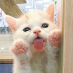 Profile Picture of Jenessa Ann Grant (@hazard20100) on Facebook