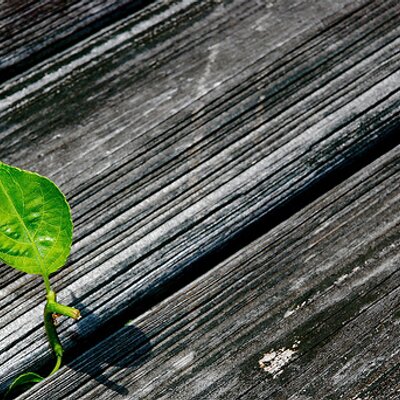 Profile Picture of Mike Lukacs (@ReGenFitness) on Twitter