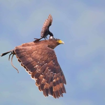 Profile Picture of David M. Guinto (@DavidMGuinto1) on Twitter