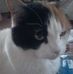 Profile Picture of Debbie Cron (@debbie.cron.31) on Facebook