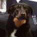 Profile Picture of Daisy Barrett (@daisy.barrett.902266) on Facebook