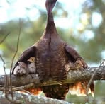 Profile Picture of Jana Guachiac (@Jana-Guachiac) on Facebook