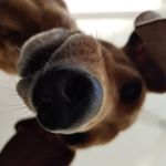 Profile Picture of Amanda Aronson (@amandanaronson) on Instagram