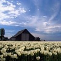 Profile Picture of Rajiv Tandon (@rajiv-tandon-4) on Quora