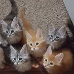 Profile Picture of Jim Berger (@bergerjim) on Instagram