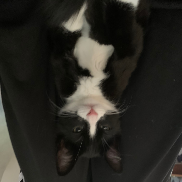 Profile Picture of Olivia Lowery (@olivia_lowery) on Poshmark