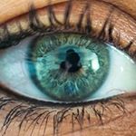 Profile Picture of Stephane Kwiecien (@stephenbulle) on Instagram