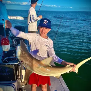 Profile Picture of Daniel Weintraub (@danielweintraub_) on Tiktok