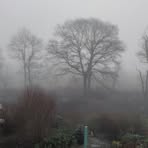 Profile Picture of Andrea Alpine (@Andrea-Alpine) on Facebook