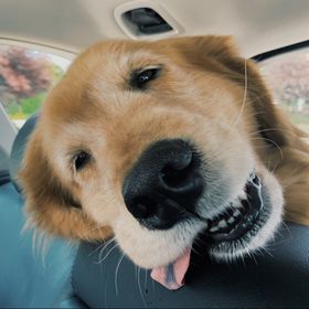 Profile Picture of Kyleigh Roche (@kyleighroche) on Pinterest