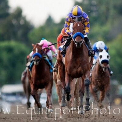 Profile Picture of Switch (@Chris68528022) on Twitter