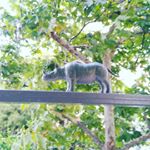 Profile Picture of Alex Kourtis (@alex.kourtis) on Instagram