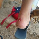 Profile Picture of Scott Flores Rimponché (@scott_flores_rimponche) on Instagram