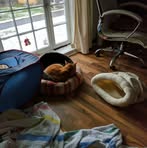 Profile Picture of James Bierfreund (@james.bierfreund.9) on Facebook