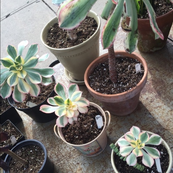 Mika Toyama - Poshmark Profile Picture of Mika Toyama (@mikatoyama) on Poshmark